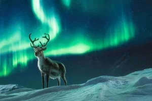 Travel further with your Miles on flights to Helsinki