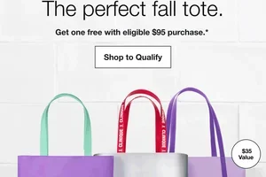 Get surprise tote with $95 order ✨
