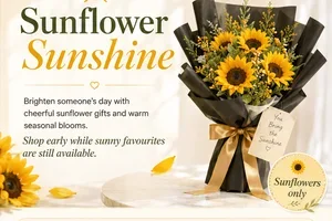 Don’t Miss These Sunny Favourites 🌞