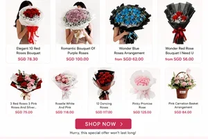 9.9 Shopping Festival: 10% Off 🎉