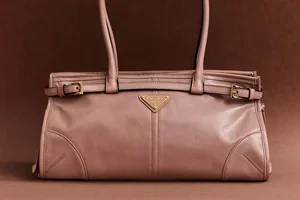 Exclusive pre-shopping: Prada, Gucci, Rachel Gilbert