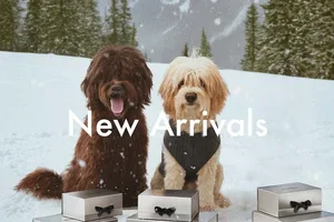 120+ New Arrivals from Fashion’s Finest