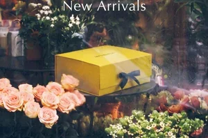 120+ New Arrivals, Curated Just for You