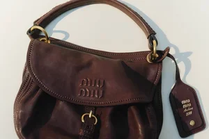 Fall's best bags from Miu Miu and more