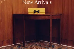 120+ New Arrivals, Curated Just for You