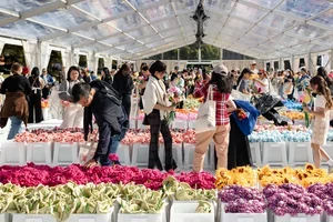 🌷 Reserve your free entry to Cj Hendry’s Flower Market