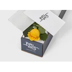 Yellow Rose Gift Box Single (ROA07-001)