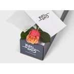 Cherry Brandy Rose Gift Box Single (ROA06-001)
