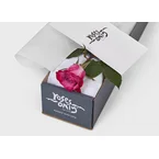 Mauve Two-Toned Rose Gift Box Single (ROA05-001)