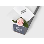 Pink Rose Gift Box Single (ROA02-001)