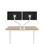 Dual Evolution Monitor Arm