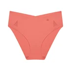 Flex Smart High Leg Briefs