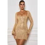 Embellished A-Line Mini Dress in Gold