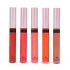 Sliding Lip Fixer (5ml)
