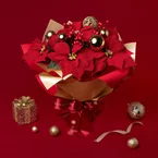 Festive Classic Blooms – Fresh Poinsettia