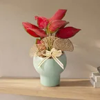 Scarlet Grace – Table Garden