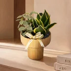 Botanic Duet – Table Garden