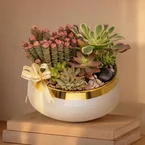 Garden Oasis – Table Garden